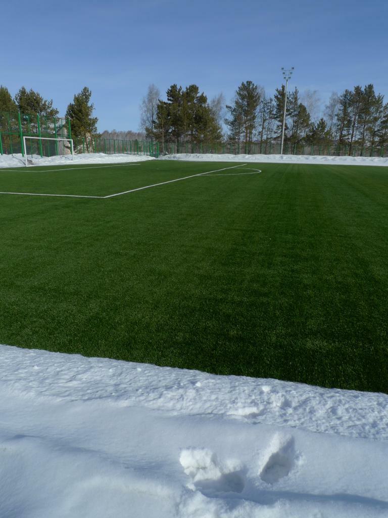 <span style="font-weight: bold;">обогрев футбольных полей</span>
